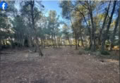 Non-developable land for sale in Roquetes ref: TR405328 photo