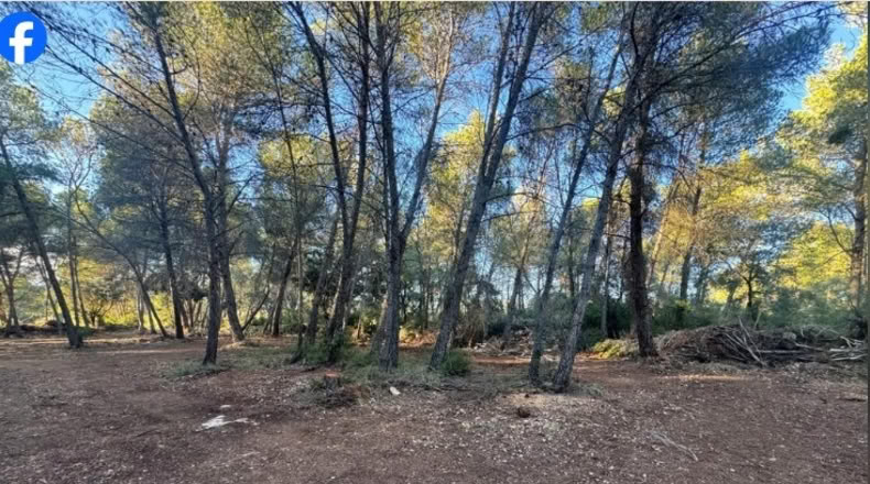 Таррагона - Roquetes - 15000m2