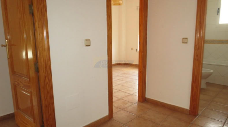 Murcia - Múrcia - 700m2