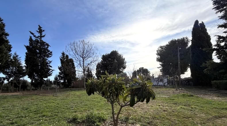 Albacete - Caudete - 2600m2