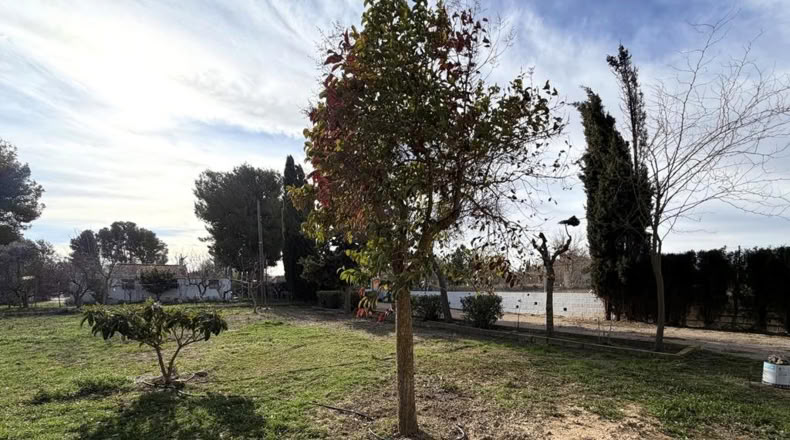 Albacete - Caudete - 2600m2