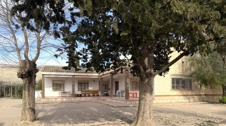 Albacete - Caudete - 2600m2
