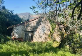 Barrio Angustina 19287&nbsp;м²