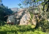 Finca rústica en venda a la España, Barrio Angustina, ref.: TR405339 foto
