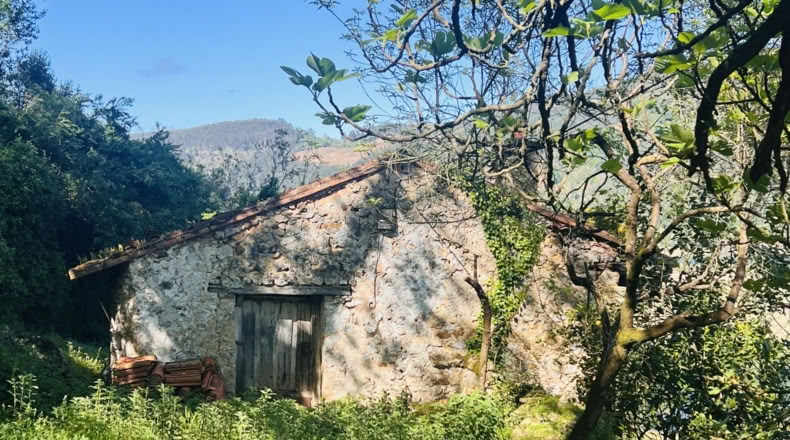 Cantabria - Barrio Angustina - 19287m2