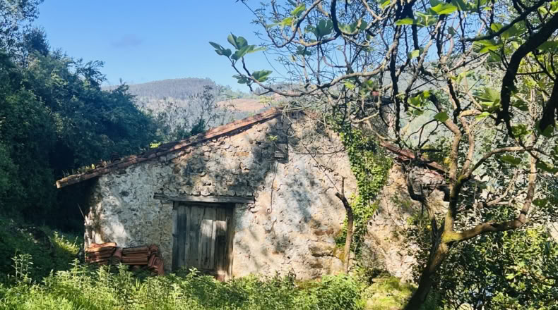 Cantabria - Barrio Angustina - 19287m2
