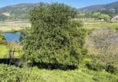 Finca rústica en venda a la España, Barrio Angustina, ref.: TR405339 foto