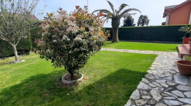 Cantabria - Argoños - 1060m2