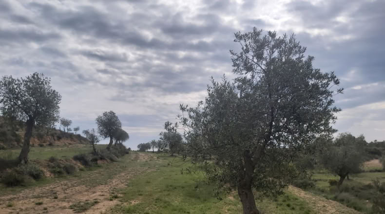 Lérida - Seròs - 40m2