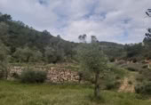 Finca rústica en venda a Seròs ref.: TR405357 foto