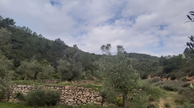 Lérida - Seròs - 40m2