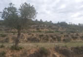 Finca rústica en venda a Seròs ref.: TR405357 foto