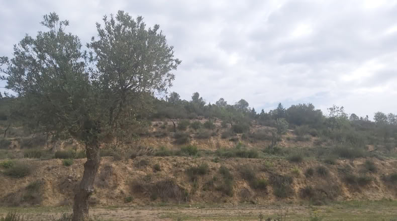 Lérida - Seròs - 40m2