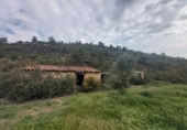 Finca rústica en venda a Seròs ref.: TR405357 foto