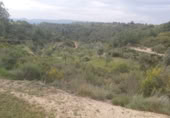 Finca rústica en venda a Seròs ref.: TR405357 foto