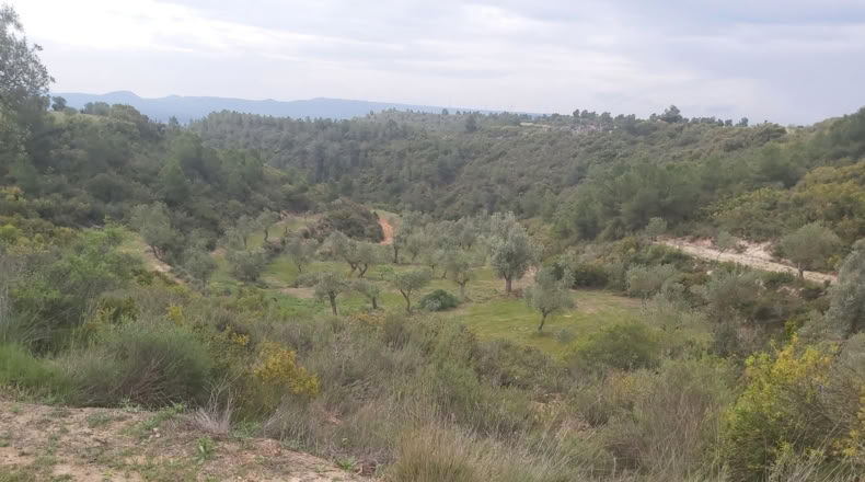 Lérida - Seròs - 40m2