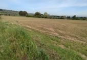 Terreno no urbanizable en venta en Puigverd de Lleida ref: TR405358 foto