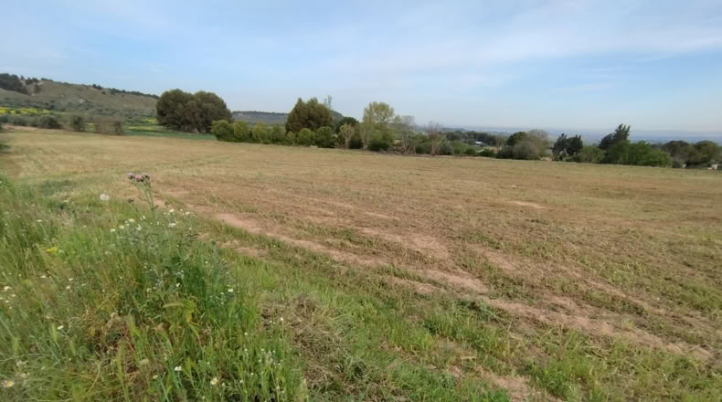 Lérida - Puigverd de Lleida - 20000m2