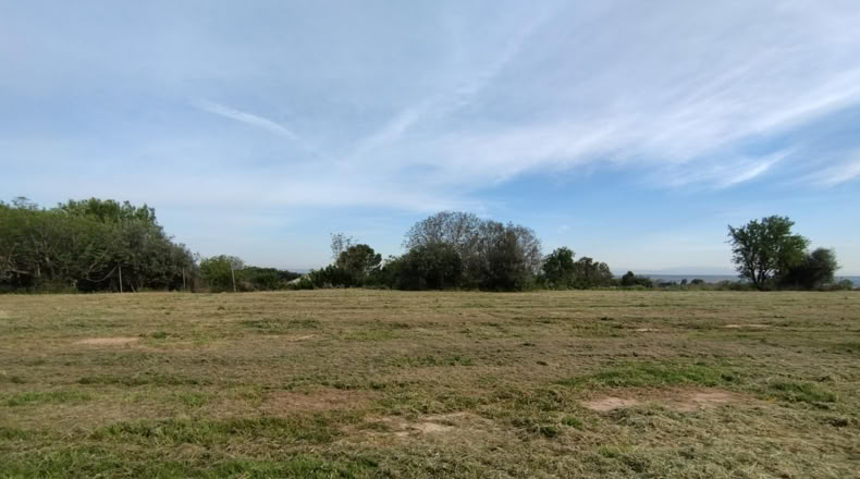 Lérida - Puigverd de Lleida - 20000m2