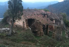 Osor 900000&nbsp;m² 
