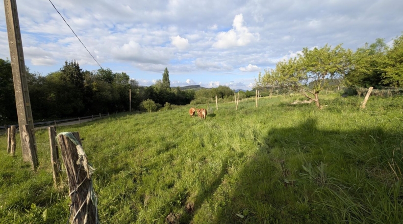 Cantabria - Miengo - 2600m2