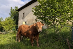 Miengo 2600&nbsp;м²