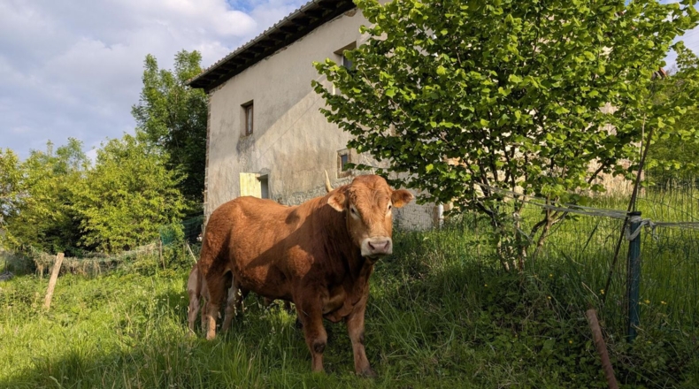 Cantabria - Miengo - 2600m2
