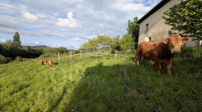Cantabria - Miengo - 2600m2