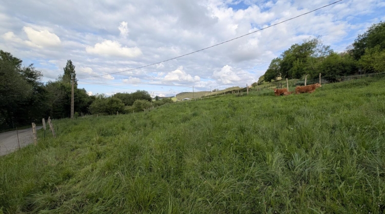 Cantabria - Miengo - 2600m2