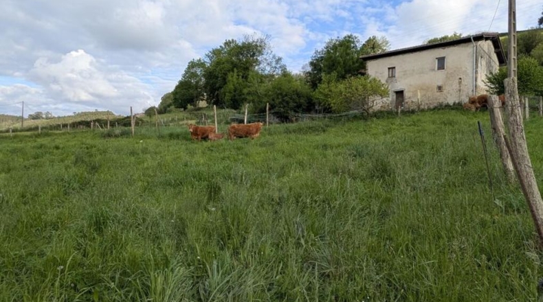 Cantabria - Miengo - 2600m2