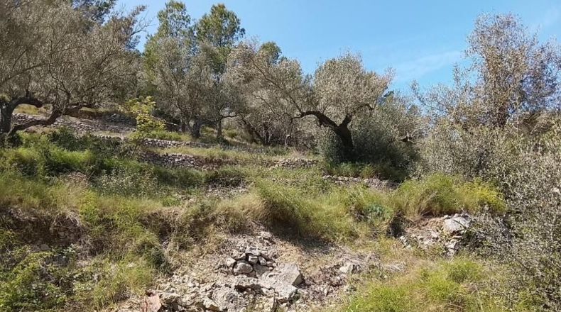 Tarragona - Tortosa - 17320m2