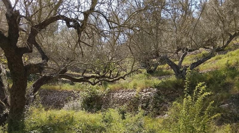 Tarragona - Tortosa - 17320m2