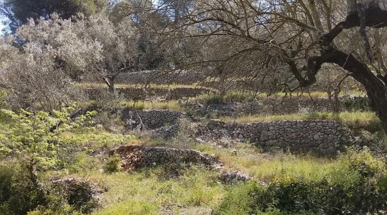 Tarragona - Tortosa - 17320m2