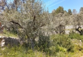 Xalet independent amb terreny en venda a la España, Tortosa, ref.: TR405362 foto