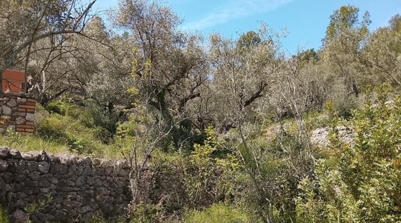 Tarragona - Tortosa - 17320m2