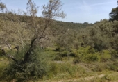 Xalet independent amb terreny en venda a la España, Tortosa, ref.: TR405362 foto