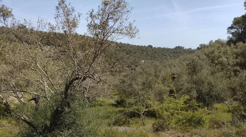 Tarragona - Tortosa - 17320m2