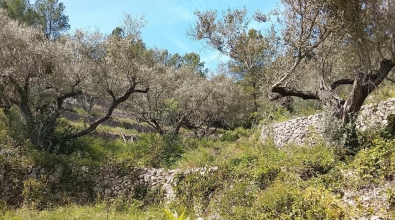 Tarragona - Tortosa - 17320m2