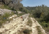 Xalet independent amb terreny en venda a la España, Tortosa, ref.: TR405362 foto