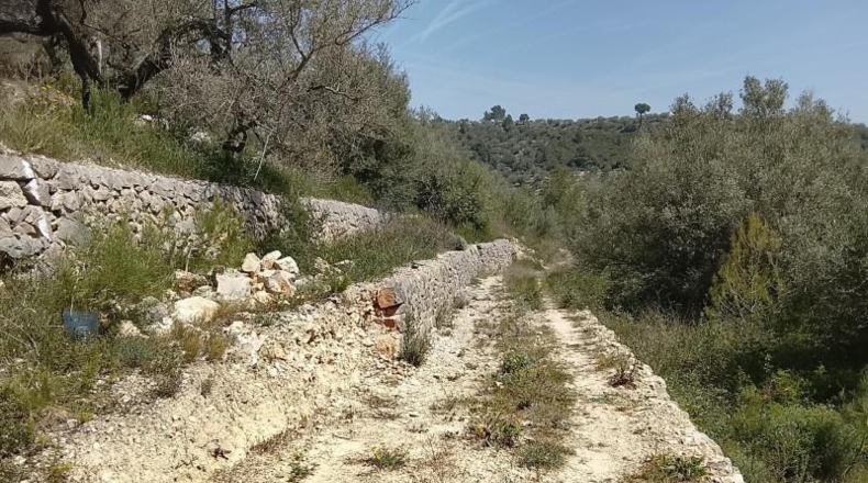 Tarragona - Tortosa - 17320m2