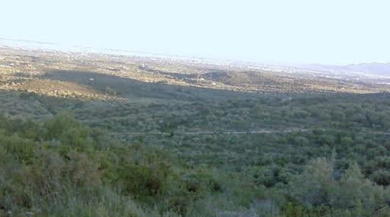 Tarragona - Tortosa - 17320m2