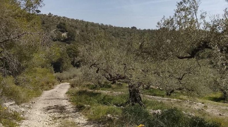 Tarragona - Tortosa - 17320m2