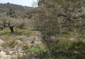 Xalet independent amb terreny en venda a la España, Tortosa, ref.: TR405362 foto