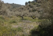 Xalet independent amb terreny en venda a la España, Tortosa, ref.: TR405362 foto