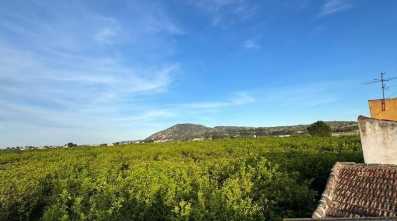 Аликанте - Orihuela - 145m2
