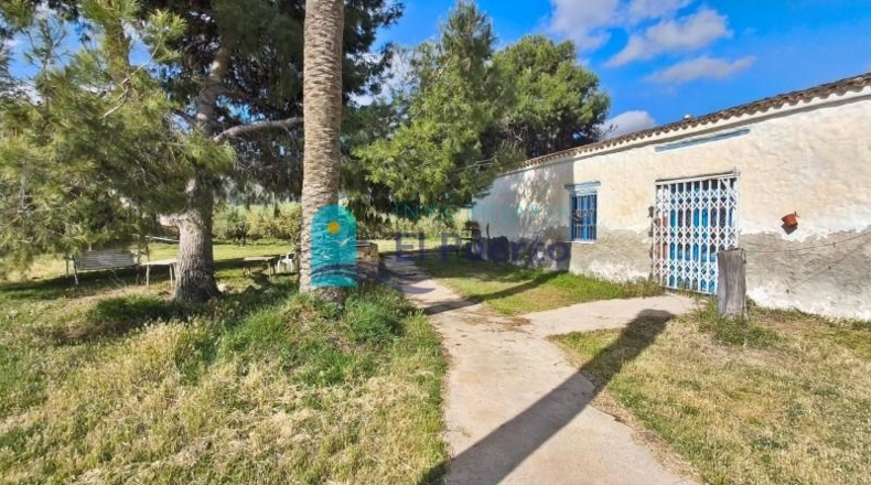Murcia - Totana - 10000m2