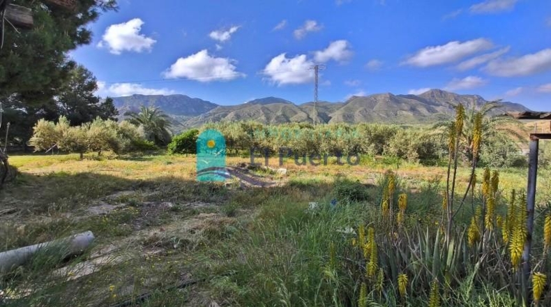 Murcia - Totana - 10000m2