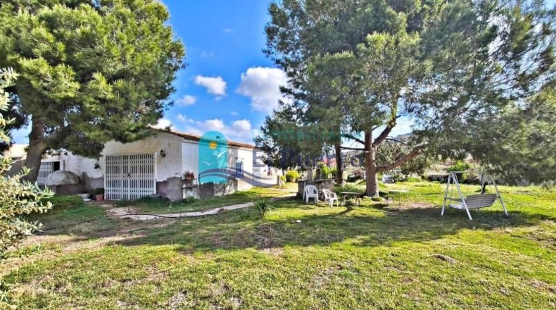 Murcia - Totana - 10000m2