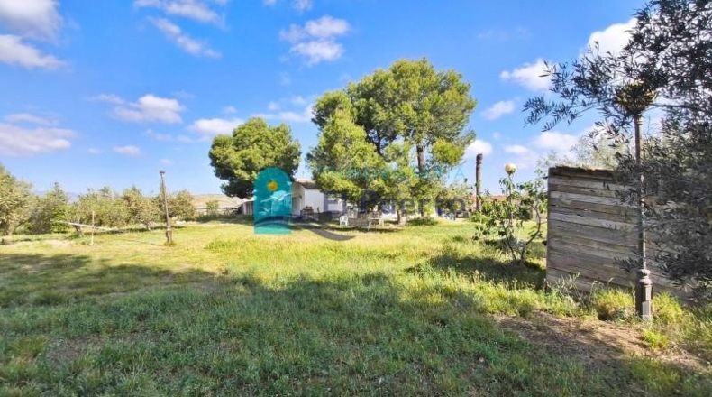 Murcia - Totana - 10000m2