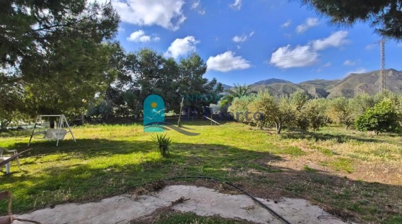 Murcia - Totana - 10000m2